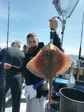 4 lb 10 oz Thornback Ray by F)! N