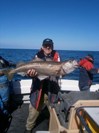 13 lb 10 oz Pollock by David Inns