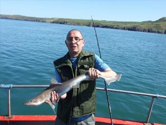 8 lb Smooth-hound (Common) by Unknown