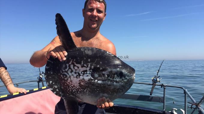 20 lb Sunfish by Unknown