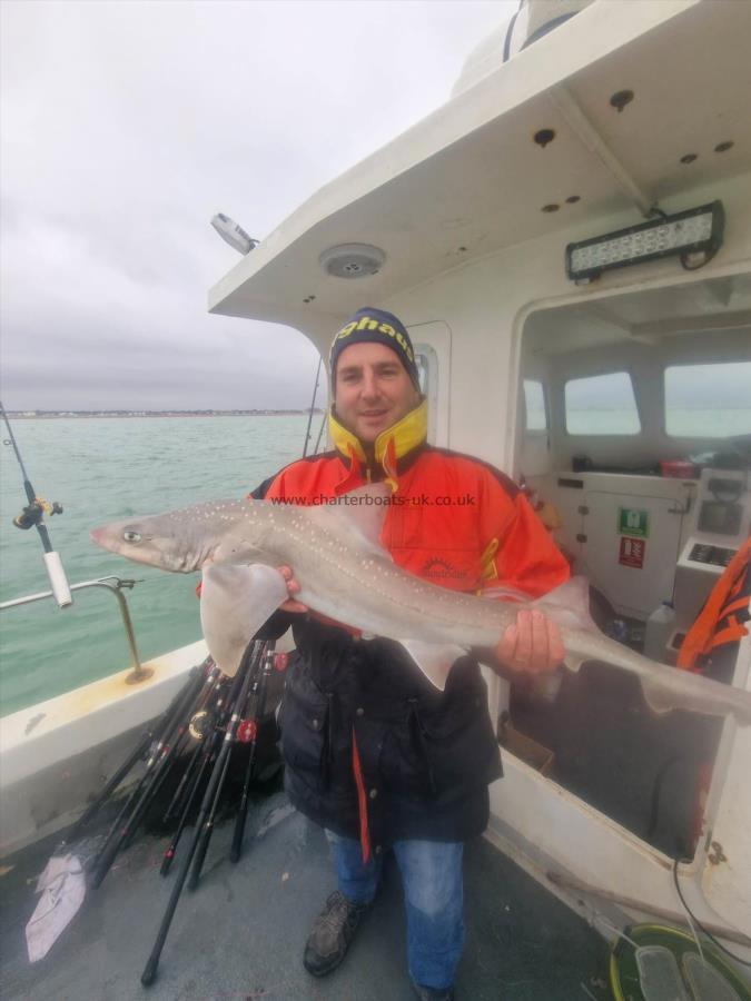 12 lb Smooth-hound (Common) by David