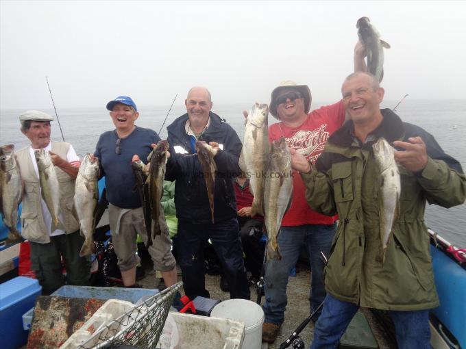 8 lb Pollock by plenty of fish for every one