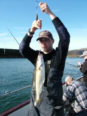 4 lb Pollock by Gareth P