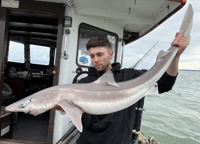 22 lb Spurdog by Unknown