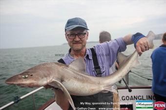 19 lb 10 oz Starry Smooth-hound by Comac