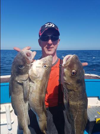 4 lb 8 oz Cod by Unknown