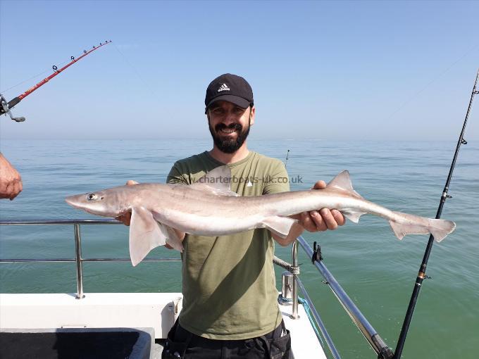 9 lb Smooth-hound by Bob Marshall