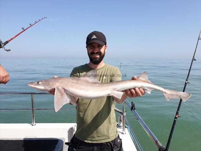 9 lb Smooth-hound (Common) by Bob Marshall