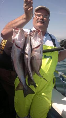 6 lb Pollock by lawrence from sheffield 5 pollock 7th july