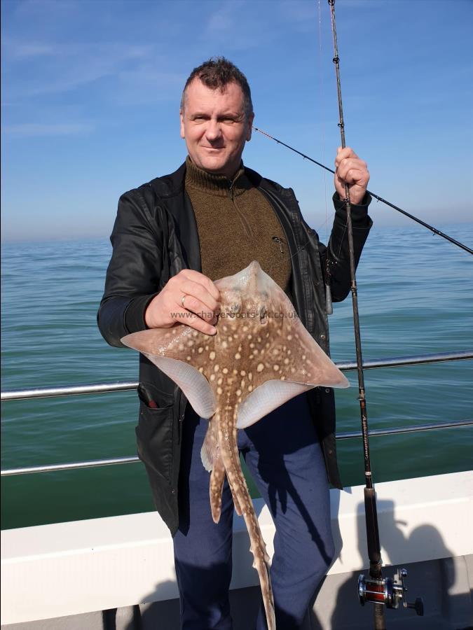 4 lb Thornback Ray by Bob Marshall