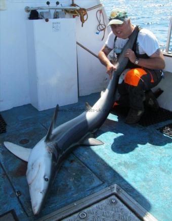 85 lb Blue Shark by STEVE DAWE