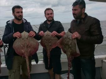 7 lb Thornback Ray by Bob Marshall