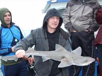 8 lb Smooth-hound by Unknown