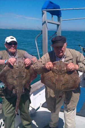 16 lb Undulate Ray by the old boys