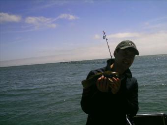 1 lb 7 oz Ballan Wrasse by Roberto