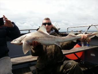 13 lb 3 oz Smooth-hound (Common) by .Matt