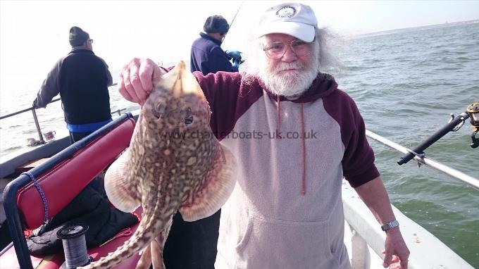 5 lb 5 oz Thornback Ray by Barry from Sussex
