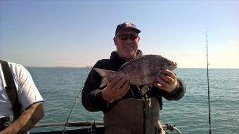 3 lb Black Sea Bream by Stephen Wake