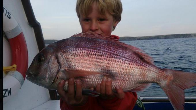 6 lb 9 oz Couch's Sea Bream by Unknown