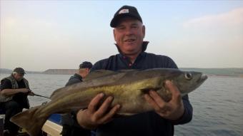 8 lb Pollock by Stephen Wake