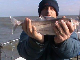 2 lb Haddock by Paul Martin