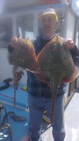 9 lb 3 oz Thornback Ray by peter from herne bay