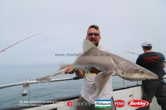 12 lb Starry Smooth-hound by Ioan