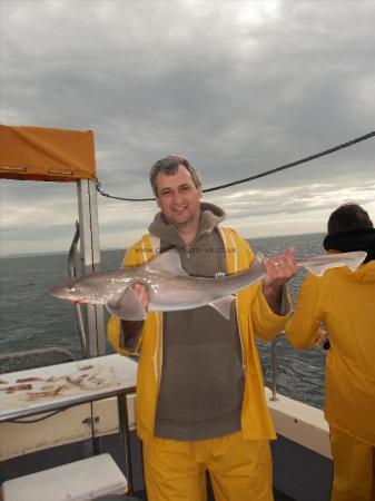 10 lb 7 oz Smooth-hound by Unknown