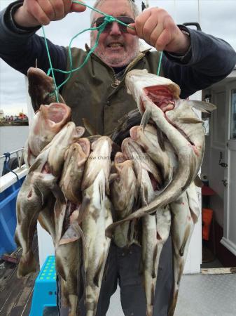 8 lb Cod by bernie singleton from cottingham