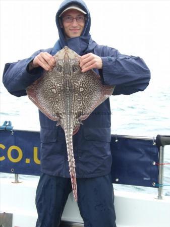 8 lb 7 oz Thornback Ray by Peter Collings