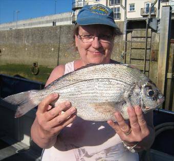 3 lb 6 oz Black Sea Bream by Mareen