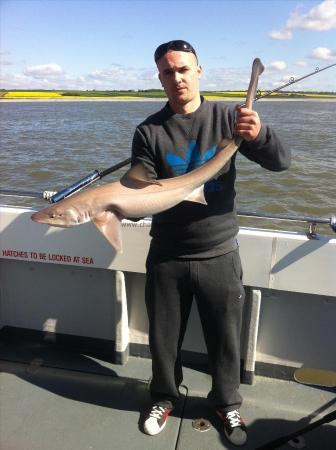 11 lb 7 oz Smooth-hound by marcus