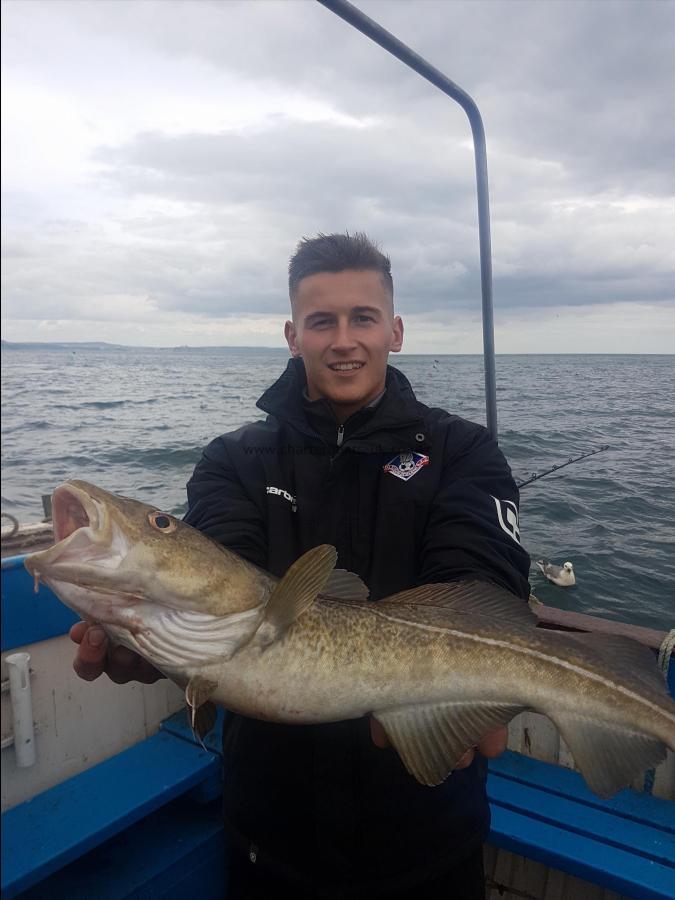 6 lb 8 oz Cod by Unknown