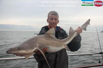 23 lb Starry Smooth-hound by Nick