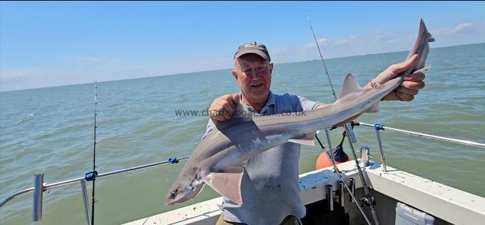 9 lb Smooth-hound by Dave