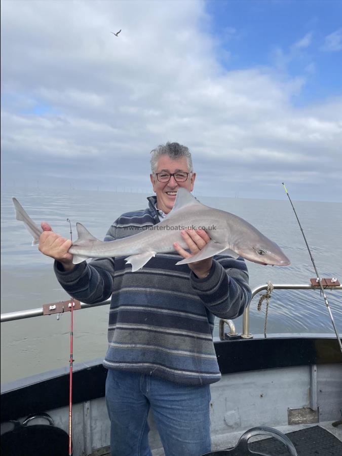7 lb 12 oz Smooth-hound by Unknown