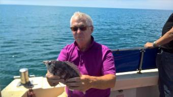 2 lb Black Sea Bream by Stephen Wake