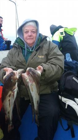 3 lb Cod by Lesley Smith