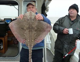 12 lb 9 oz Thornback Ray by Derek Mole