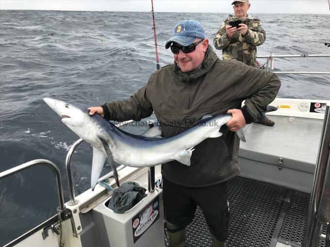 50 lb Blue Shark by Ellis