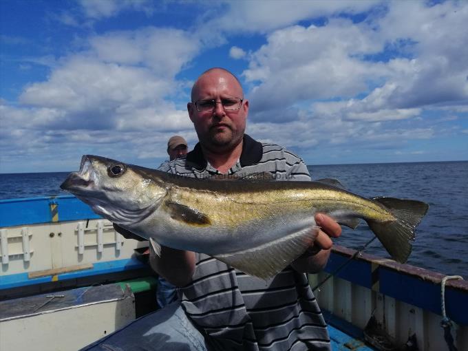 7 lb 8 oz Pollock by Jason