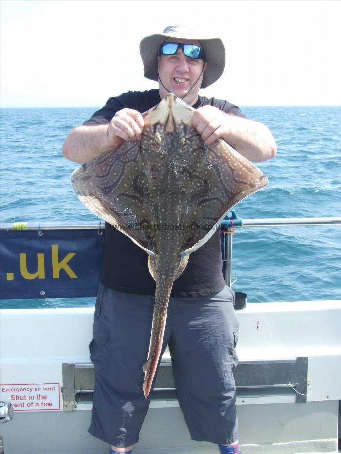 11 lb Undulate Ray by Peter Gillett