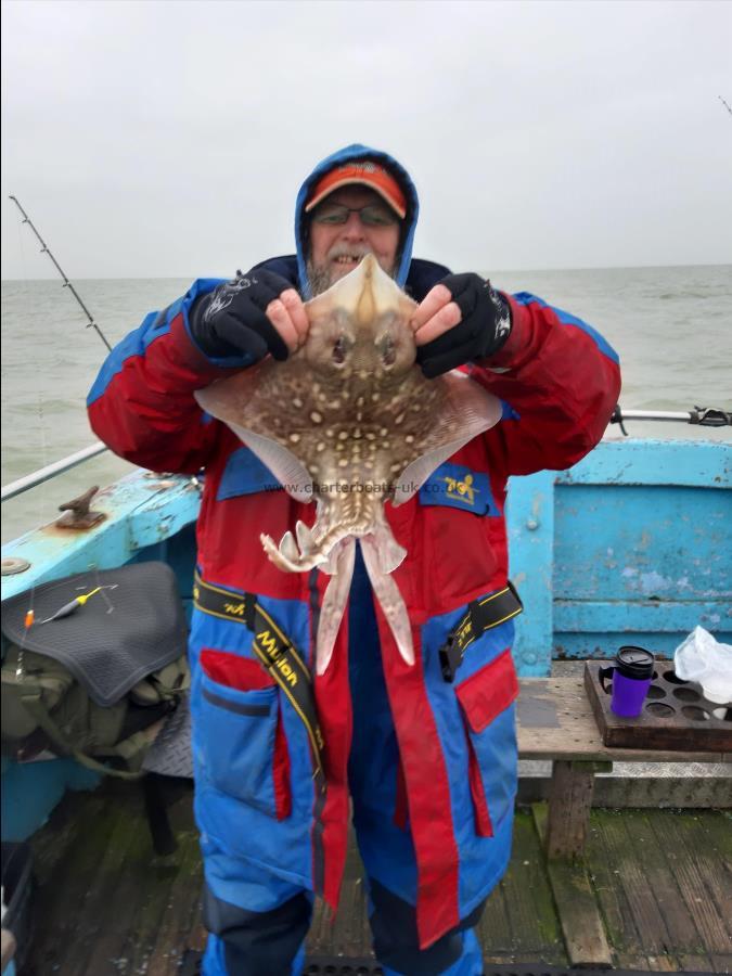 5 lb Thornback Ray by Alan