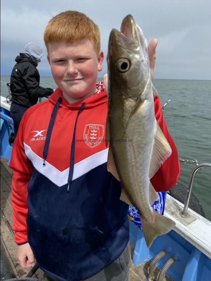 3 lb Pollock by Jamie from hull