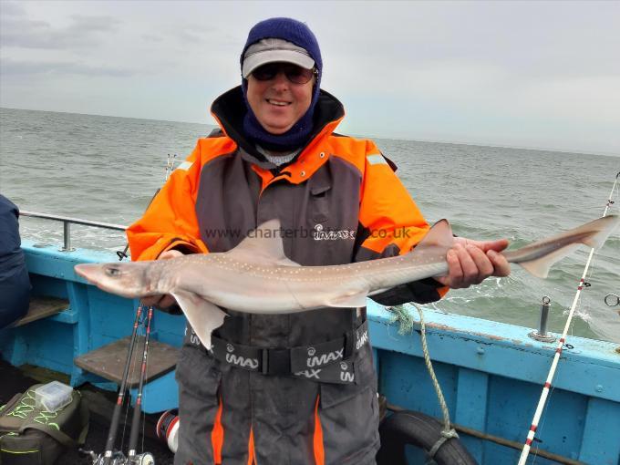 7 lb Smooth-hound (Common) by Steve