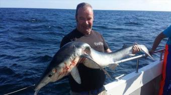 39 lb Blue Shark by Paul