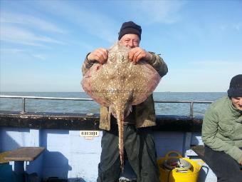 11 lb 2 oz Thornback Ray by Steve