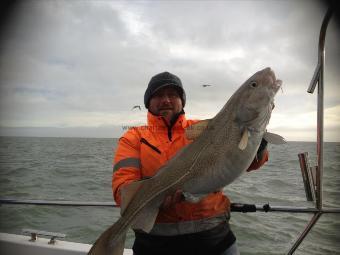 16 lb Cod by Unknown