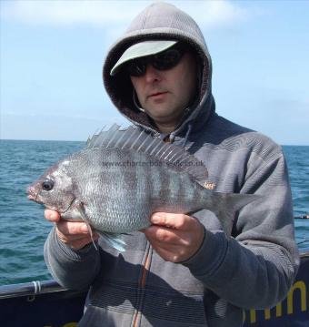 3 lb Black Sea Bream by Andy Moss