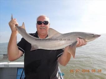13 lb Starry Smooth-hound by Alan Bunyan with his personal best smoothie